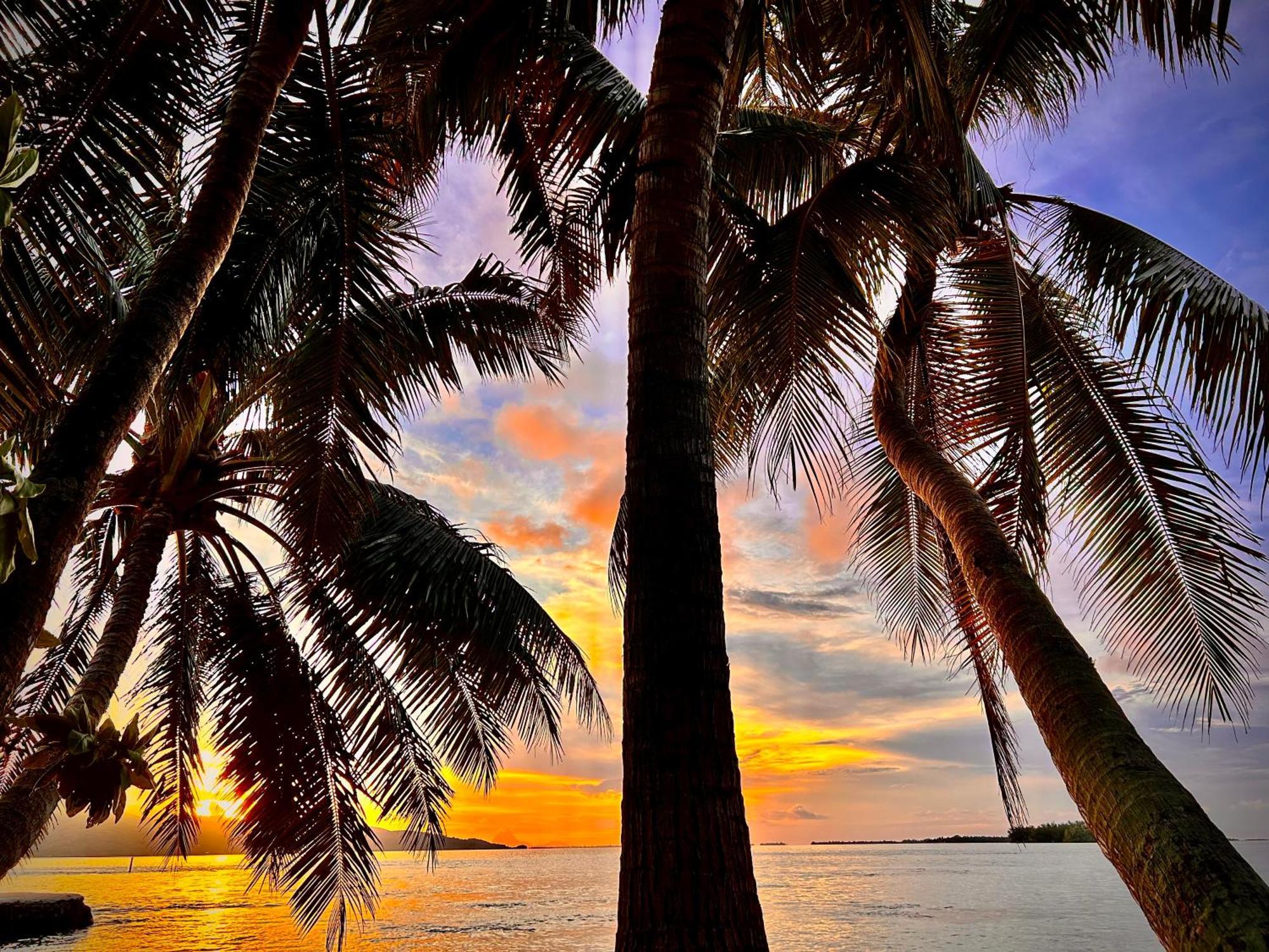 Отель Eden Private Island Tahaa Patio  Экстерьер фото